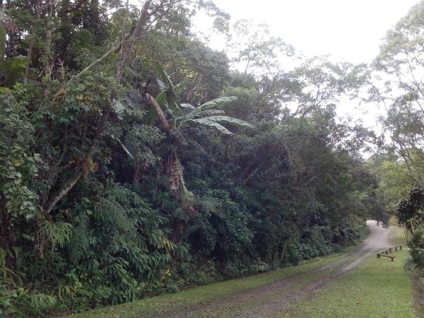 TERRENO/ÁREA SANTO ANDRÉ
